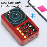 Portable FM Radio Portable Bluetooth Speaker with LED Light support Recording TF Card USB Play Wireless Speaker Radio FM Receive