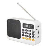 Portable FM Radio Portable Bluetooth Speaker with LED Light support Recording TF Card USB Play Wireless Speaker Radio FM Receive