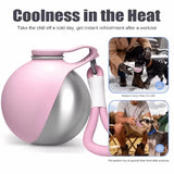Portable spherical water bottle for pets; features a transparent, drop-resistant design with a lanyard; sealed and leak-proof.